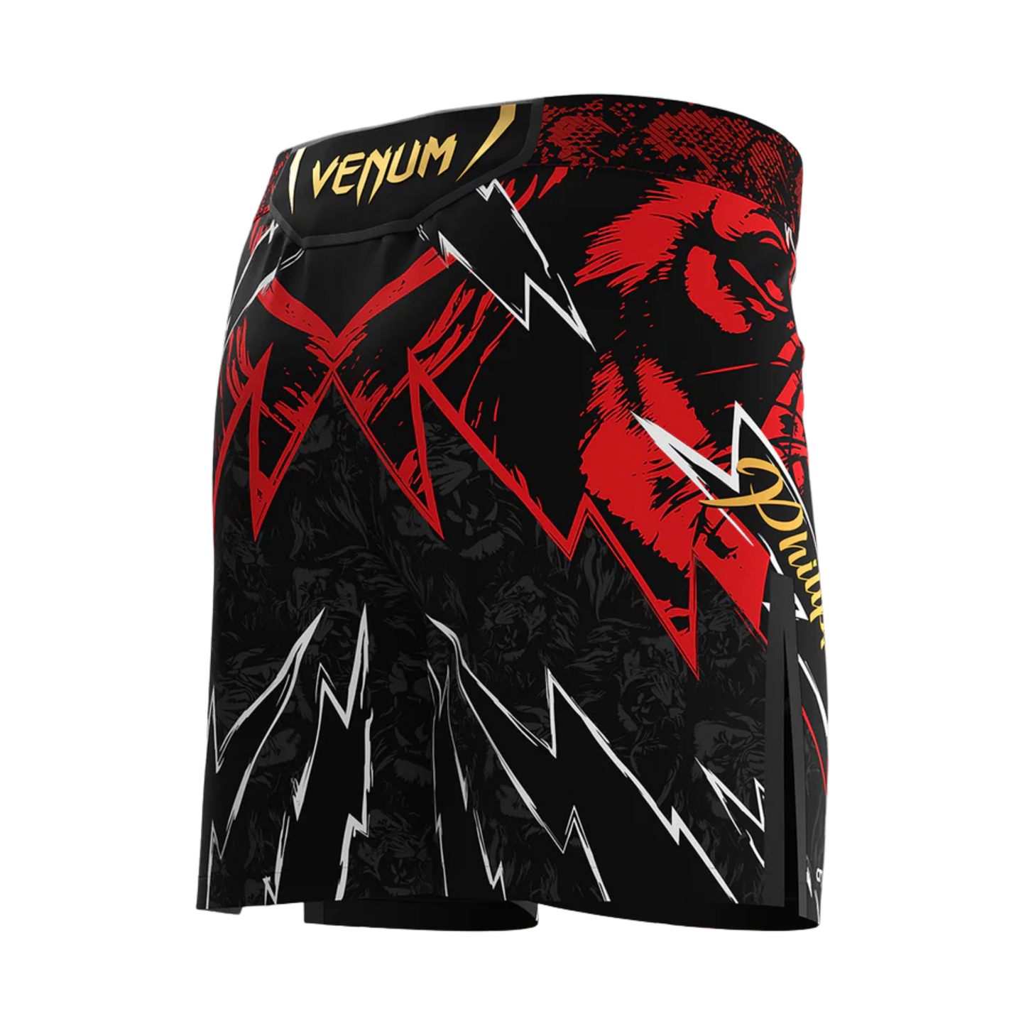 Jon Jones shorts