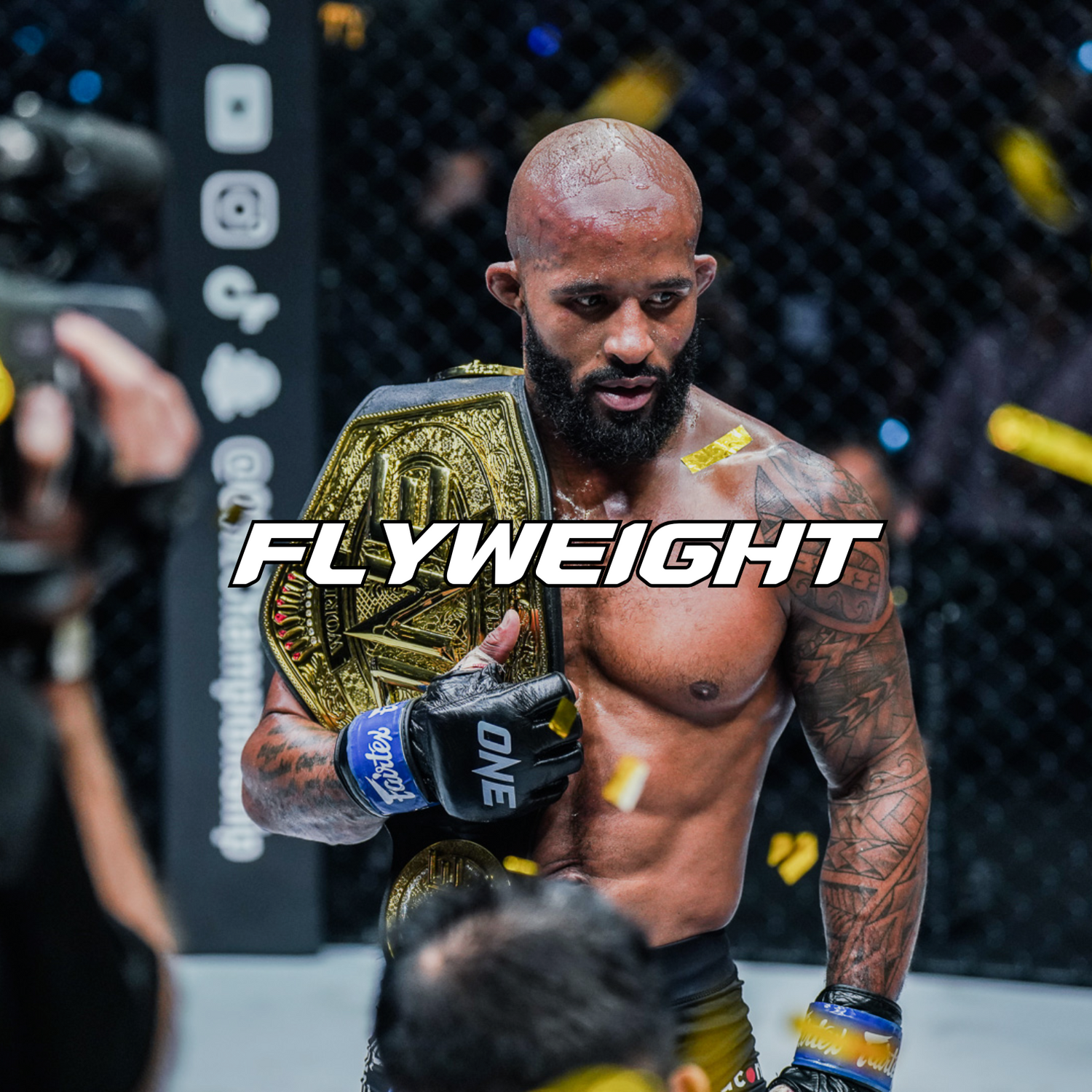 FLYWEIGHT