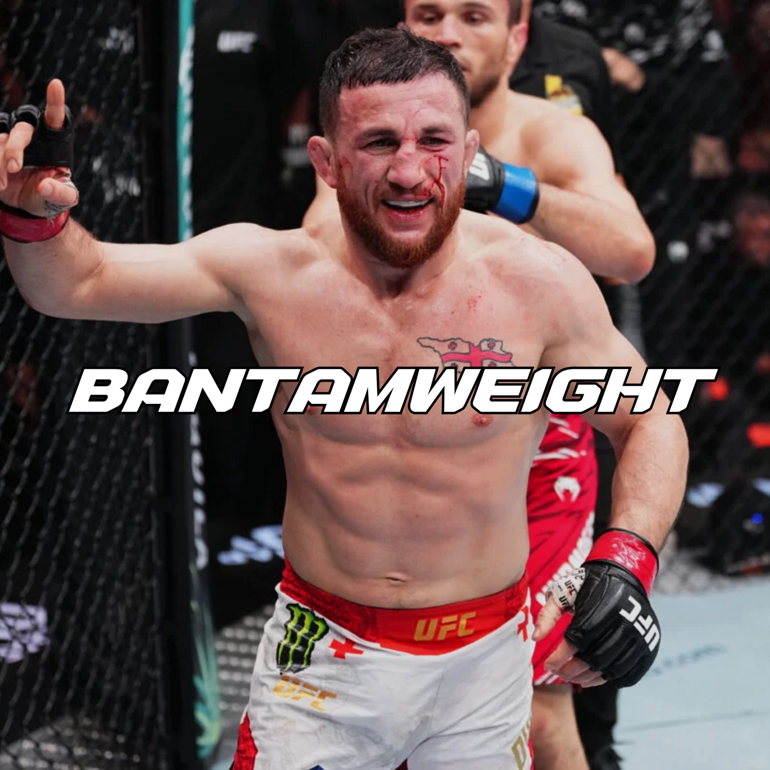 BANTAMWEIGHT